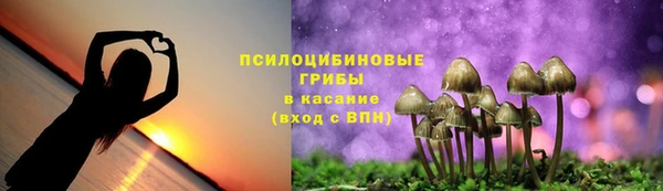 мяу мяу мука Бугульма